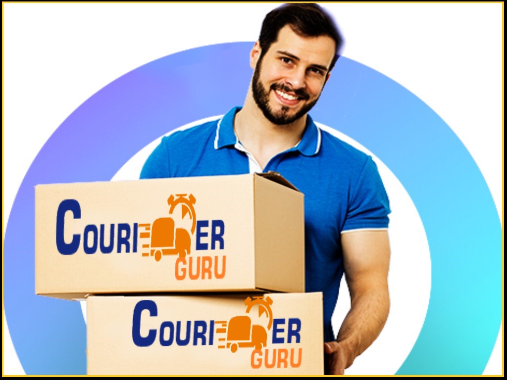 International Courier Services In Delhi